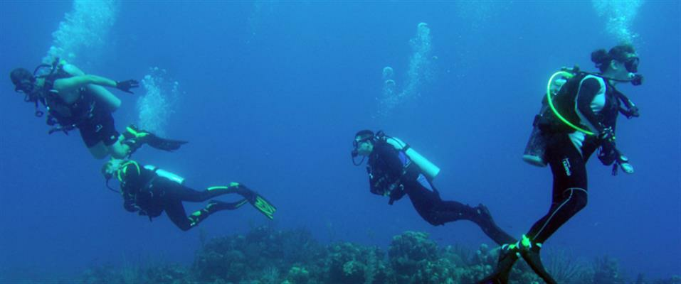 Dive Packages